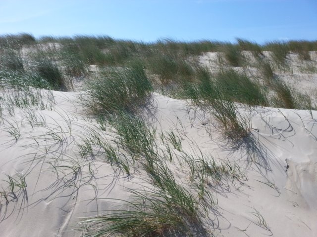 HWK Texel 154.jpg